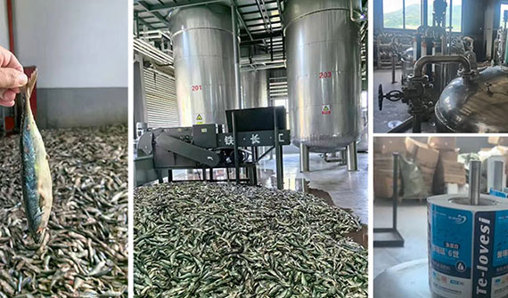 經銷商必備,100%純魚蛋白肥燃炸市場!緩僵苗弱苗、改良土壤、抗寒抗旱抗逆全搞定!